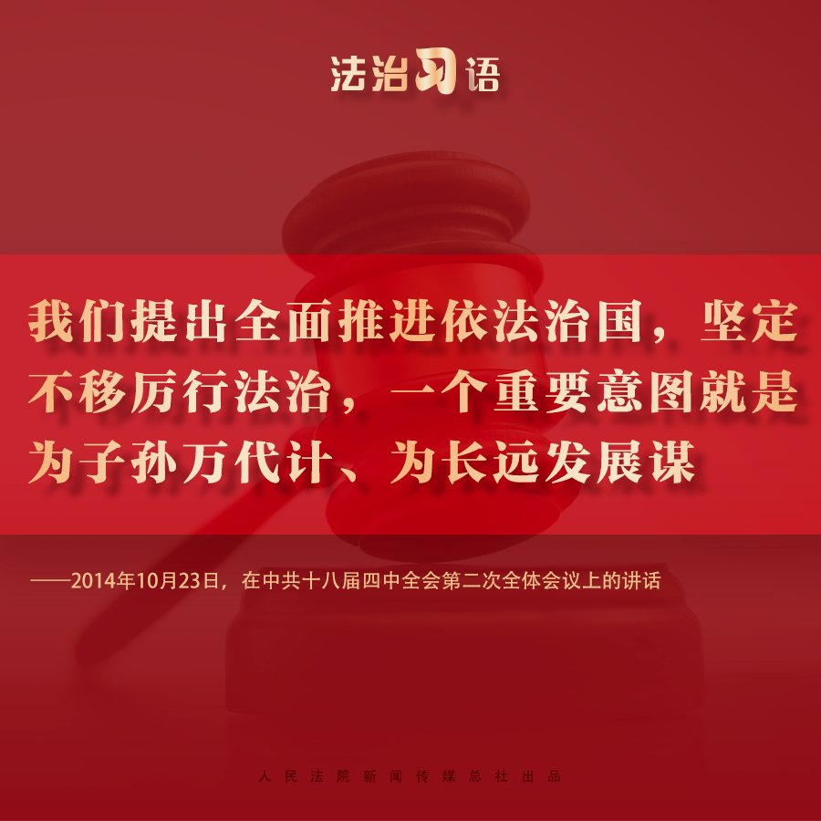 法治习语：依法治国